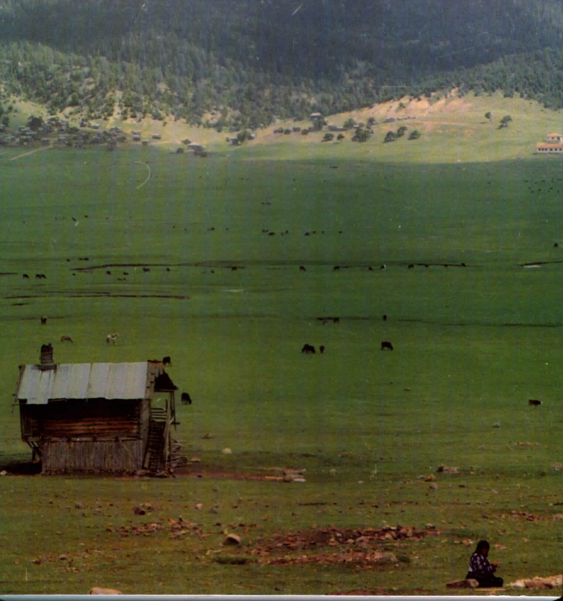 Kızılcahamam