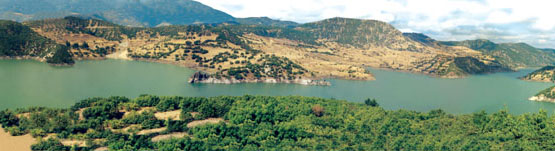 Çamlıdere