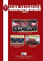 TVHB Dergisi